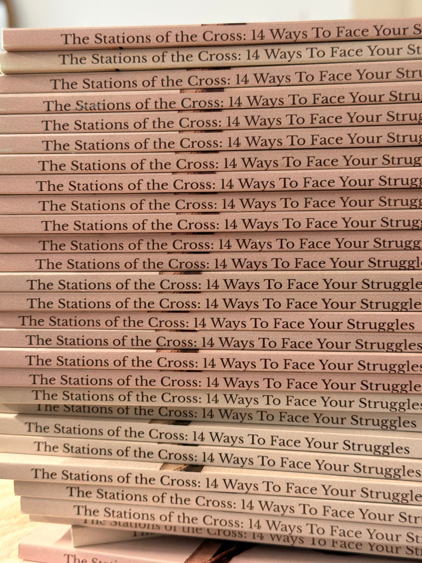 Le Chemin de Croix Livre d'Immaculée