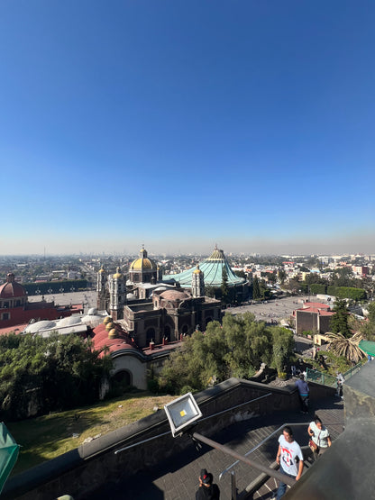 Mexico City - Our Lady of Guadalupe Pilgrimage -  February 11 -February 15, 2026 with Immaculee Ilibagiza