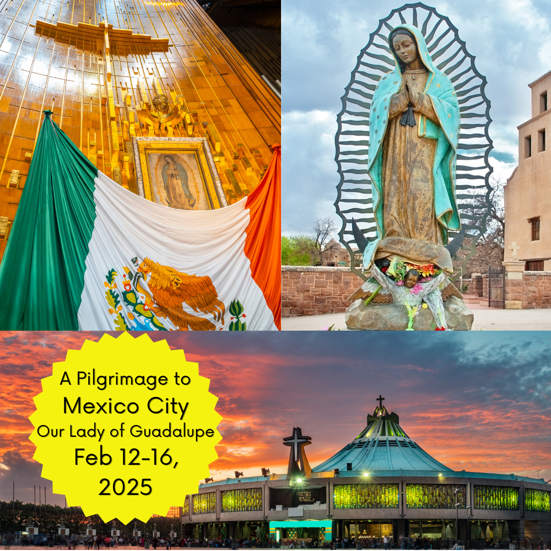 Venez au pèlerinage au Mexique du 7 au 11 février 2024 avec Immaculée Ilibagiza