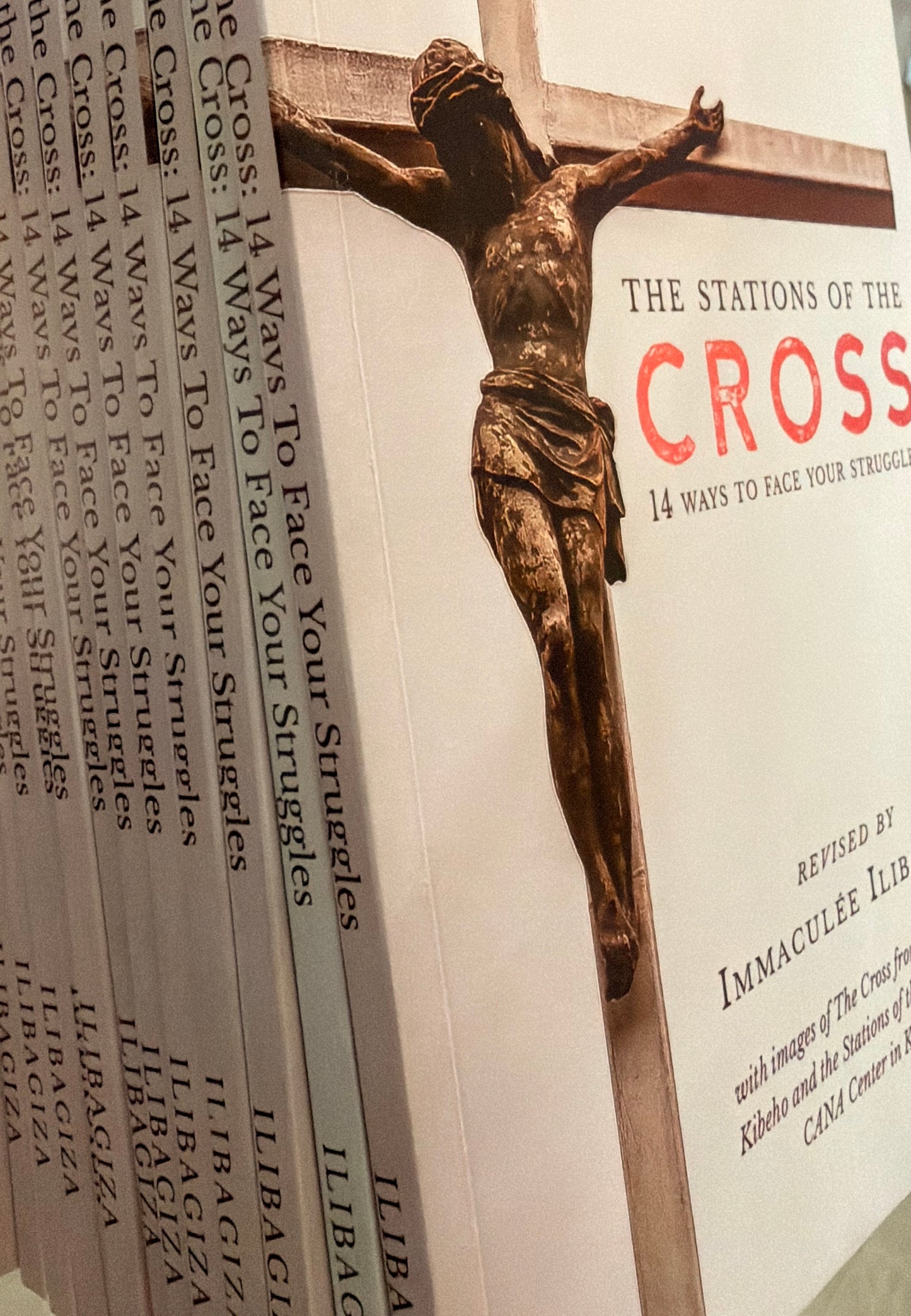 Le Chemin de Croix Livre d'Immaculée