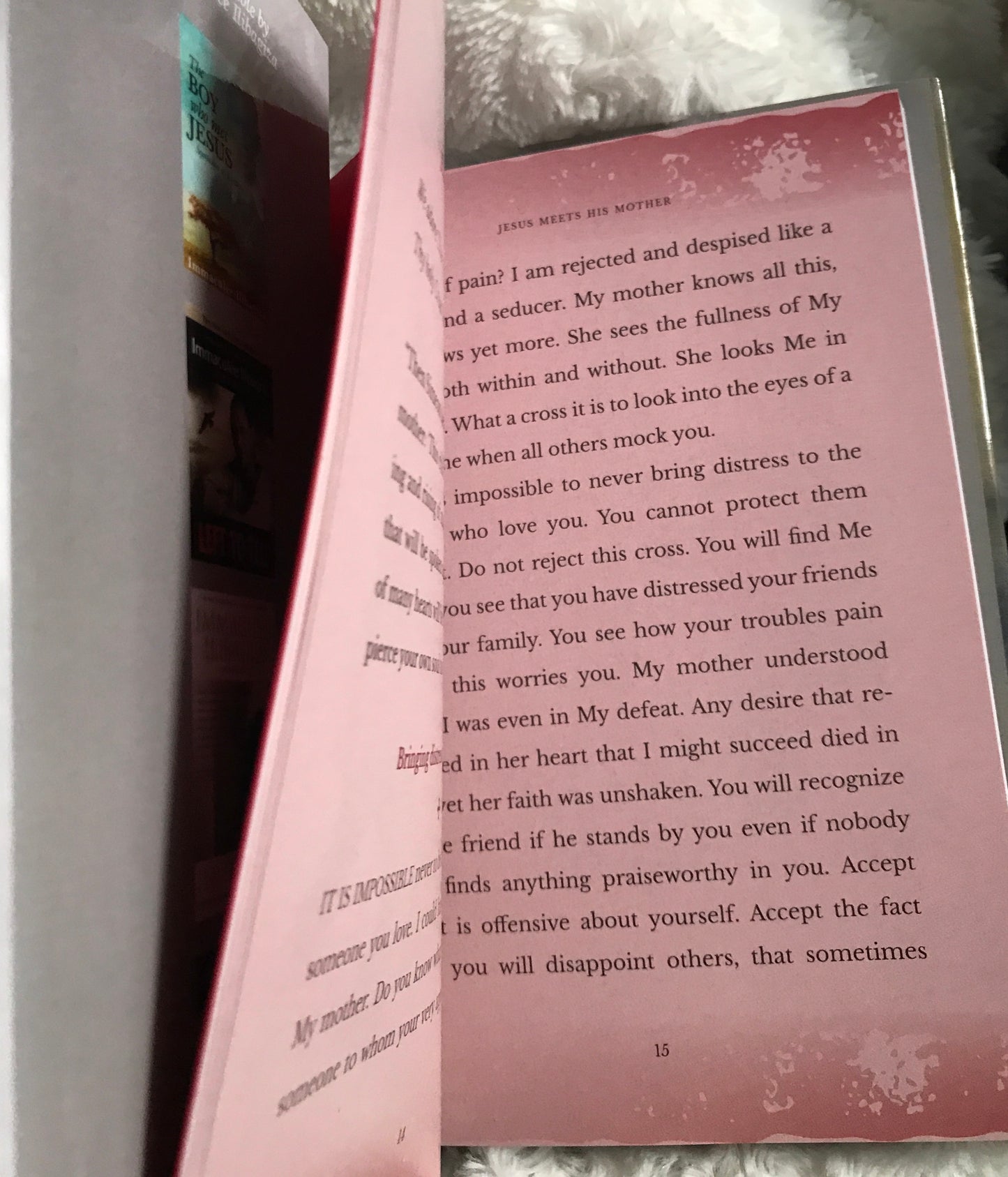 Le Chemin de Croix Livre d'Immaculée